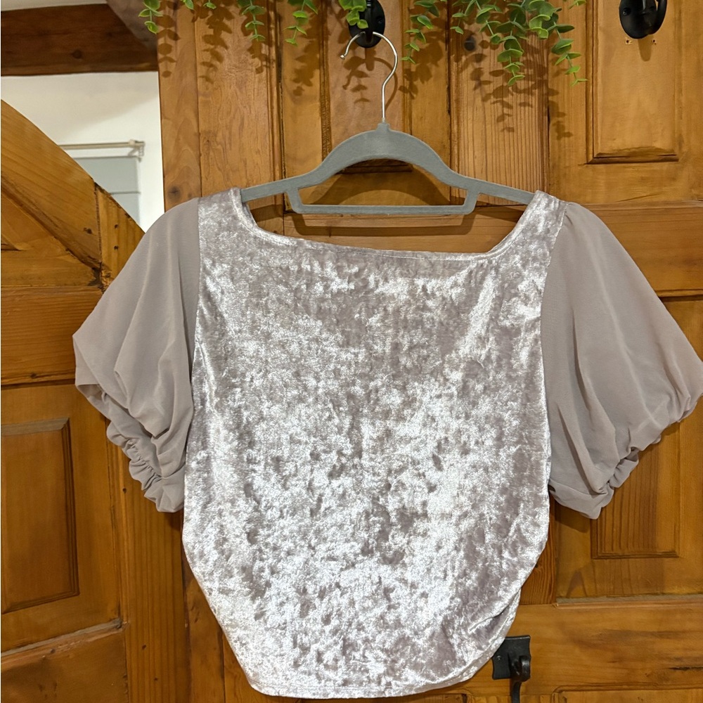 Free People Velvet Blouse with Puff Sleeves